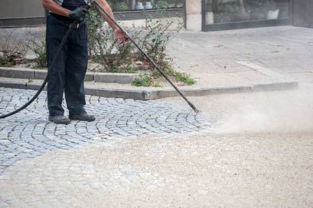 Animal Enclosure Cleaning in Cleveland, GA